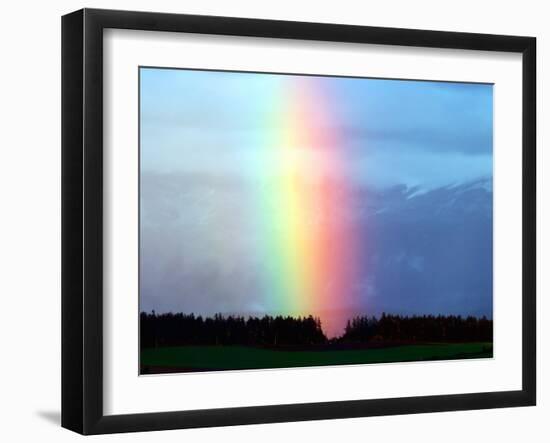 Rainbow-null-Framed Photographic Print