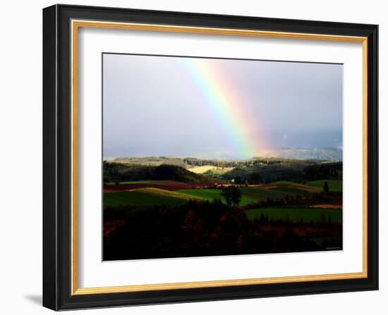 Rainbow-null-Framed Photographic Print