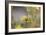 Rainbows and Buttercups-Valda Bailey-Framed Photographic Print