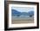 Raindeer in Norway-Andrushko Galyna-Framed Premium Photographic Print