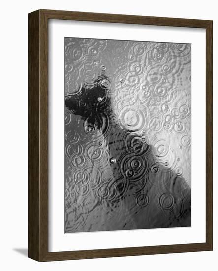 Raindrop Ripples on Fish Underwater-Henry Horenstein-Framed Photographic Print