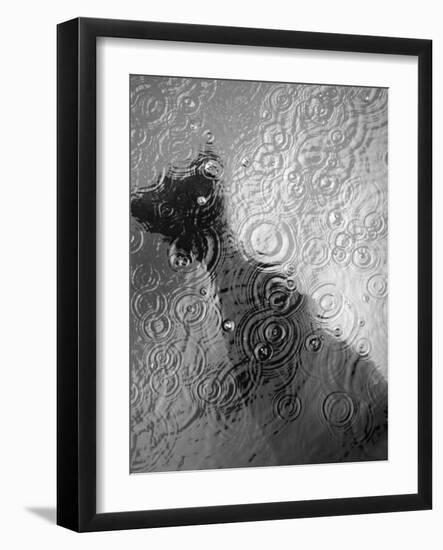 Raindrop Ripples on Fish Underwater-Henry Horenstein-Framed Photographic Print