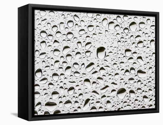 Raindrops on a Window Pane-Duncan Shaw-Framed Premier Image Canvas