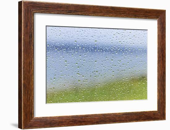 Raindrops on Glass 2-Don Paulson-Framed Giclee Print