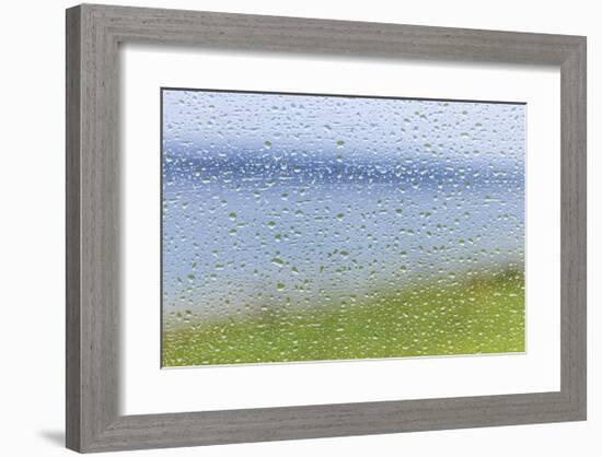 Raindrops on Glass 2-Don Paulson-Framed Giclee Print