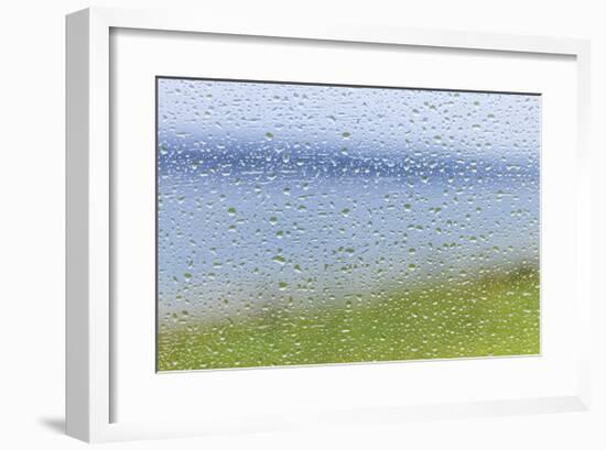 Raindrops on Glass 2-Don Paulson-Framed Giclee Print