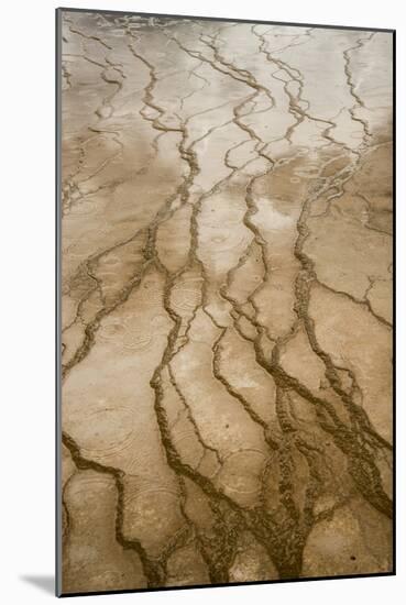 Raindrops On The Terraces Of The Grand Prismatic Spring Midway Geyser Basin, Yellowstone NP-Bryan Jolley-Mounted Photographic Print