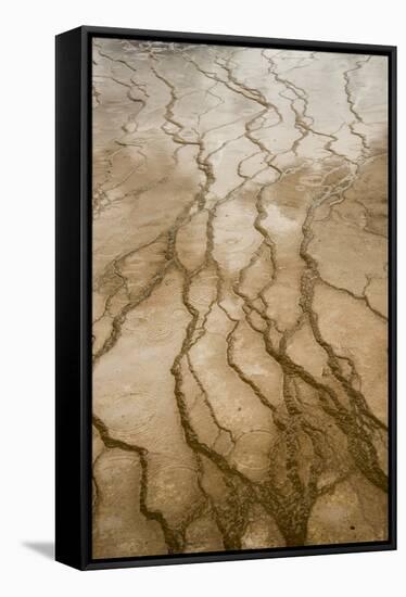 Raindrops On The Terraces Of The Grand Prismatic Spring Midway Geyser Basin, Yellowstone NP-Bryan Jolley-Framed Stretched Canvas