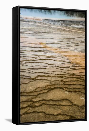 Raindrops On The Terraces Of The Grand Prismatic Spring Midway Geyser Basin, Yellowstone NP-Bryan Jolley-Framed Stretched Canvas
