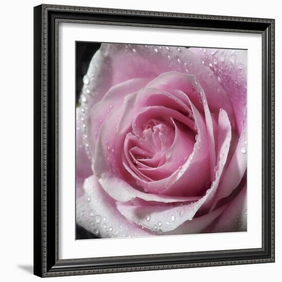 Raindrops & Roses III-Monika Burkhart-Framed Photo