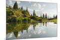 Photographic Print