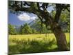 Premium Photographic Print