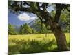 Photographic Print