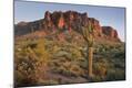 Photographic Print