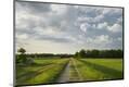Photographic Print