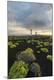 Premium Photographic Print