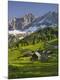 Photographic Print