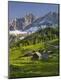 Photographic Print