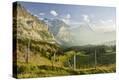 Stretched Canvas Print
