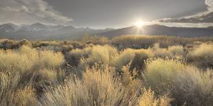 Owens River Valley, Sierra Nevada, California, Usa-Rainer Mirau-Photographic Print