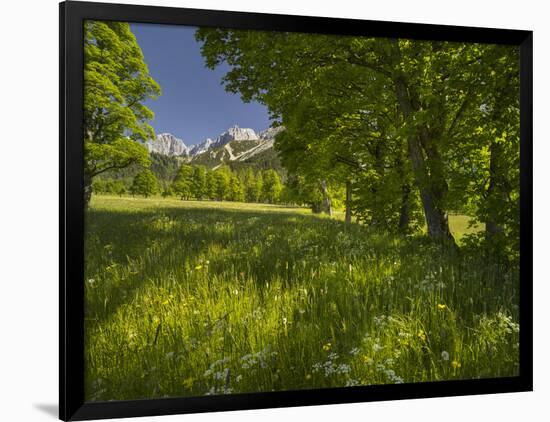 Photographic Print, , large