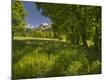 Premium Photographic Print