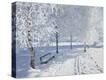 Stretched Canvas Print