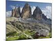 Photographic Print