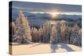 Stretched Canvas Print