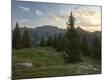 Photographic Print