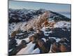 Photographic Print