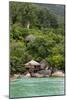 Rainforest and a Wooden Cabin of the 'Bagus Place-Andrey Zvoznikov-Mounted Photographic Print