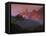 Rainforest and Mountains-Kevin Schafer-Framed Premier Image Canvas