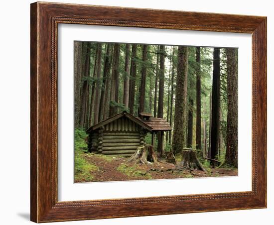 Rainforest and Sol Duc Shelter, Sol Duc Valley, Olympic National Park, Washington, USA-Jamie & Judy Wild-Framed Photographic Print