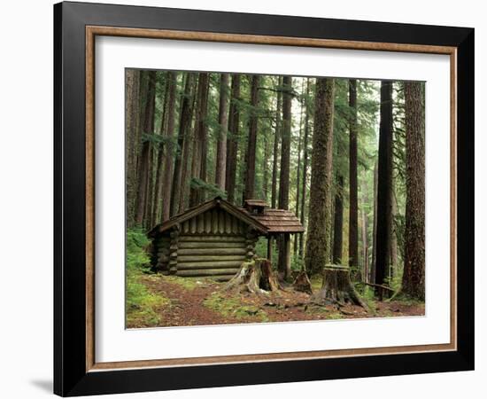 Rainforest and Sol Duc Shelter, Sol Duc Valley, Olympic National Park, Washington, USA-Jamie & Judy Wild-Framed Photographic Print