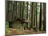 Rainforest and Sol Duc Shelter, Sol Duc Valley, Olympic National Park, Washington, USA-Jamie & Judy Wild-Mounted Photographic Print