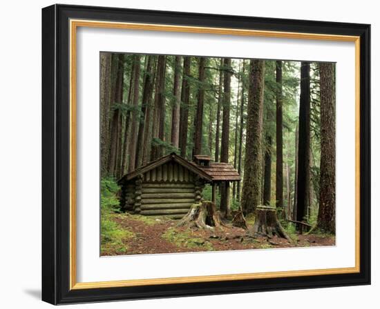 Rainforest and Sol Duc Shelter, Sol Duc Valley, Olympic National Park, Washington, USA-Jamie & Judy Wild-Framed Photographic Print