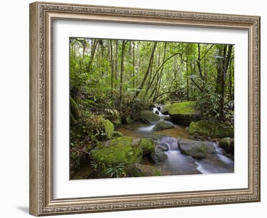 Rainforest and Waterfall in Biopark Near Entrance to Mount Kinabalu National Park, Sabah, Borneo-Mark Hannaford-Framed Photographic Print