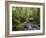 Rainforest and Waterfall in Biopark Near Entrance to Mount Kinabalu National Park, Sabah, Borneo-Mark Hannaford-Framed Photographic Print