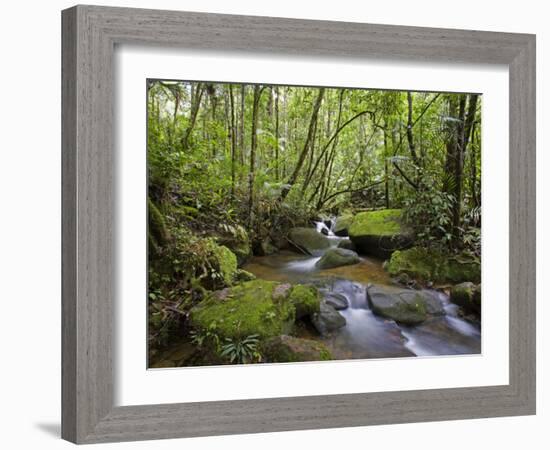 Rainforest and Waterfall in Biopark Near Entrance to Mount Kinabalu National Park, Sabah, Borneo-Mark Hannaford-Framed Photographic Print