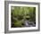 Rainforest and Waterfall in Biopark Near Entrance to Mount Kinabalu National Park, Sabah, Borneo-Mark Hannaford-Framed Photographic Print