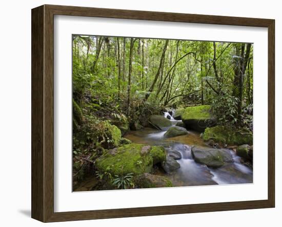 Rainforest and Waterfall in Biopark Near Entrance to Mount Kinabalu National Park, Sabah, Borneo-Mark Hannaford-Framed Photographic Print