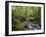 Rainforest and Waterfall in Biopark Near Entrance to Mount Kinabalu National Park, Sabah, Borneo-Mark Hannaford-Framed Photographic Print