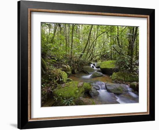 Rainforest and Waterfall in Biopark Near Entrance to Mount Kinabalu National Park, Sabah, Borneo-Mark Hannaford-Framed Photographic Print