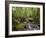 Rainforest and Waterfall in Biopark Near Entrance to Mount Kinabalu National Park, Sabah, Borneo-Mark Hannaford-Framed Photographic Print