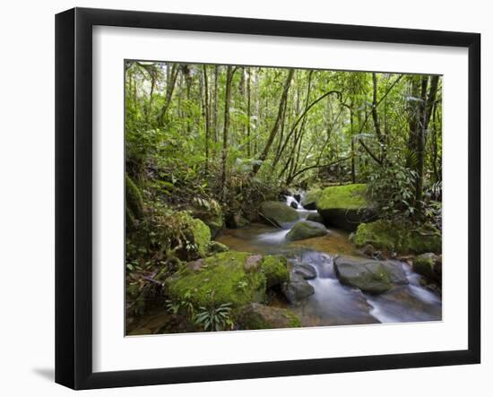 Rainforest and Waterfall in Biopark Near Entrance to Mount Kinabalu National Park, Sabah, Borneo-Mark Hannaford-Framed Photographic Print