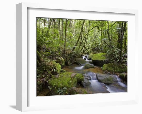 Rainforest and Waterfall in Biopark Near Entrance to Mount Kinabalu National Park, Sabah, Borneo-Mark Hannaford-Framed Photographic Print