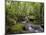 Rainforest and Waterfall in Biopark Near Entrance to Mount Kinabalu National Park, Sabah, Borneo-Mark Hannaford-Mounted Photographic Print