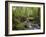 Rainforest and Waterfall in Biopark Near Entrance to Mount Kinabalu National Park, Sabah, Borneo-Mark Hannaford-Framed Photographic Print