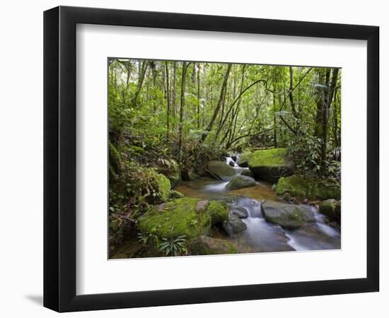 Rainforest and Waterfall in Biopark Near Entrance to Mount Kinabalu National Park, Sabah, Borneo-Mark Hannaford-Framed Photographic Print